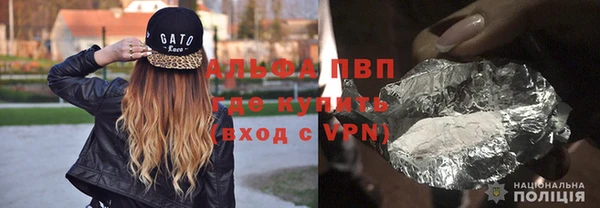 мет Алексин