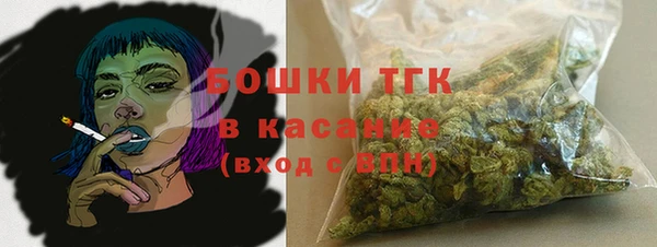 мет Алексин