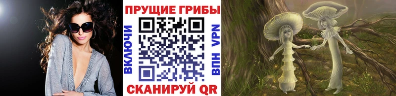 blacksprut сайт  как найти наркотики  Абинск  Галлюциногенные грибы Cubensis 